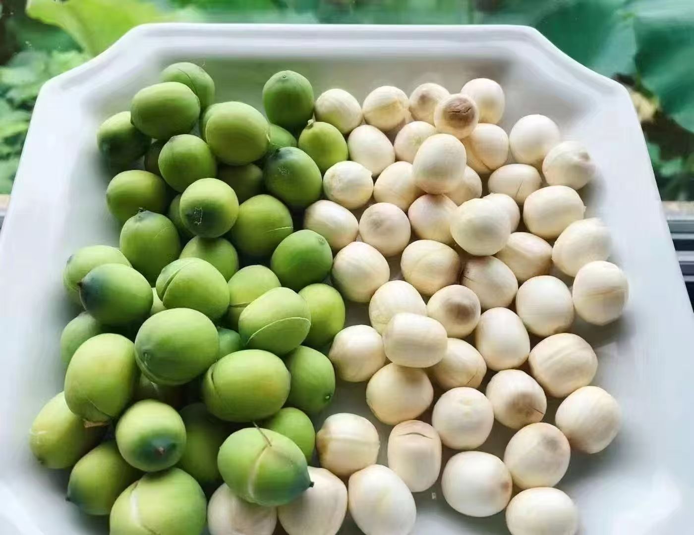 微信图片_20250909153335_33_3780.jpg